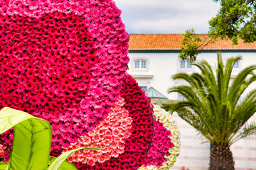 Blumenfest Madeira