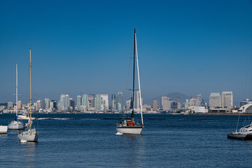 Fototapeta na wymiar Sailboats docked off shore in San Diego bay with San Diego skyline. Shot from Shelter Island, San Diego. August 29, 2019