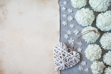 Gray plaster background with spring white flowers of decorative viburnum buldenezh, paper for text and heart
