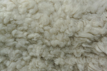 White sheepskin texture.White wool texture. Natural fluffy fur sheep wool. Sheepskin Background.