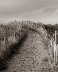 Obraz premium Path leading through sand dunes bordered by shabby chic fence