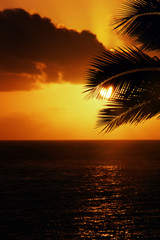 Naklejka na ściany i meble Sunrise on beach with love