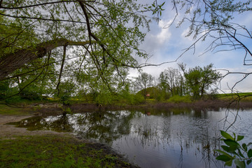 Fototapeta na wymiar lake in forest