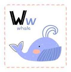 Cartoon Alphabet letter W for Whale for teaching kids to read and write with upper and lower case text alongside a cute blue baleen whale blowing a spout of water, vector illustration