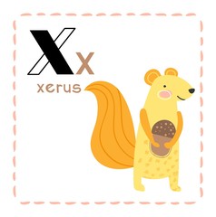 Cartoon Alphabet letter X for Xerus for teaching kids to read and write with upper and lower case text alongside a cute little Xerus or African ground squirrel with bushy tail, vector illustration