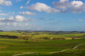 Fototapeta na wymiar View of green hills of North island of New Zealand