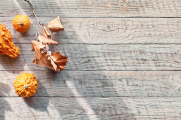 Flat lay, top view of orange pumpkin and dry Autumn leaves with copy-space