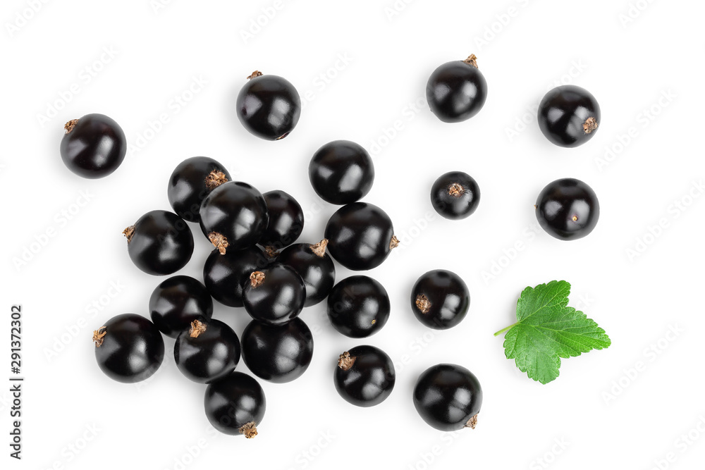 Wall mural black currant with leaf isolated on white background. top view. flat lay pattern