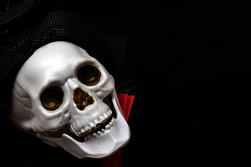Creepy smiling skeleton skull close up on black background with copy space, death and mystery concept, halloween
