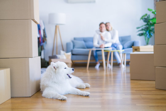 Young beautiful couple with dog sitting on the sofa at new home around cardboard boxes