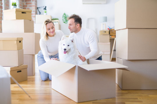 Young beautiful couple with dog sitting on the floor at new home around cardboard boxes