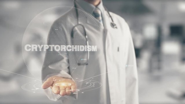 Doctor holding in hand Cryptorchidism