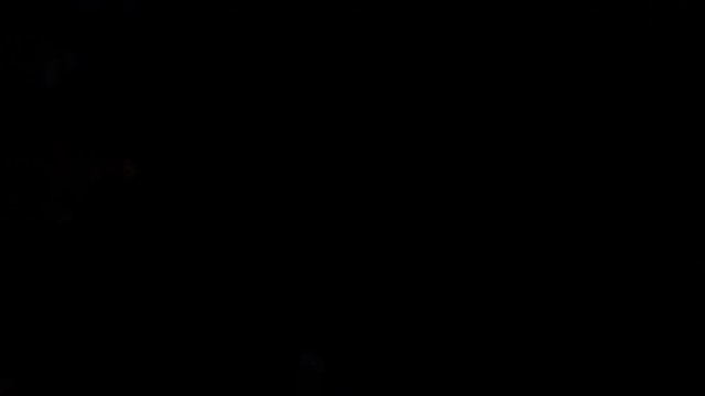 Iridescent multicolored rainbow particle colored vivid smoke gas glowing shockwave circle explosion logo and copy space copyspace top view creative animation alpha channel 4k 60fps isolated on black