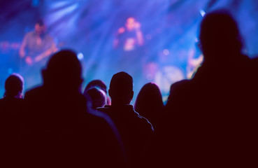 Fans enjoying festival music concert.