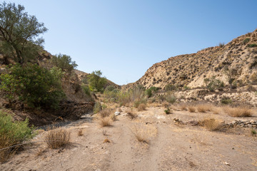 semi-desert area of ​​La Ramblilla (Ugijar) Spain