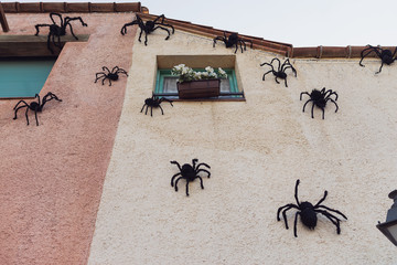 Halloween houses decoration: a group of spiders or tarantulas are on a wall and window. Happy halloween concept. Arachnophobia concept.