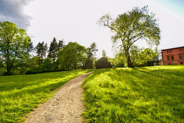 road in the countryside