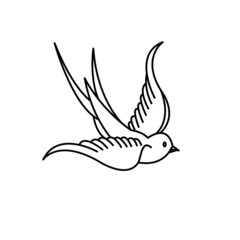 bird vector ilustration