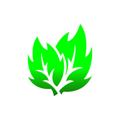 Eco icon green leaf vector illustration isolated