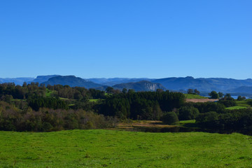 Obraz premium Landscape: Green pasture, forest and mountains in the distance, bright blue sky. Finnoy, Rogaland, Norway. 