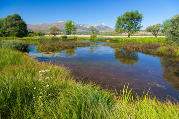 Fototapeta premium The Cetina River in the karst plain, Croatia