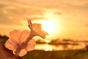 flor