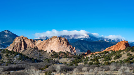 Garden of the Gods Landscape