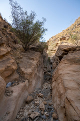 ravine eroded by time and water