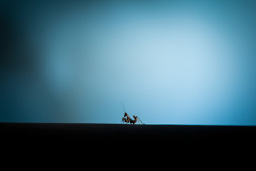 Obraz na płótnie Canvas Tiny mantis crawling on plain black surface against blue background