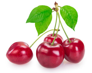 Fresh cherry on white background