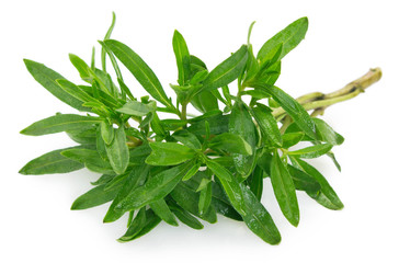 Fresh thyme on white background