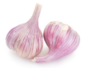 Fresh garlic on white background