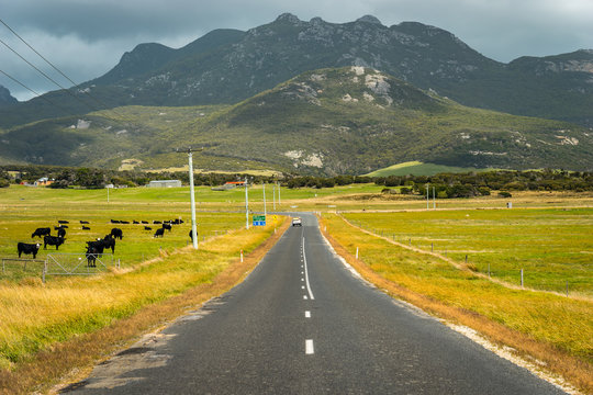 Road to Mount Strzelecki on Flinders Island, Tasmania
