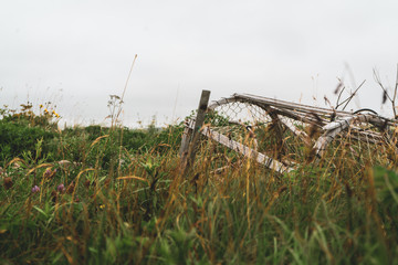 lobster trap in grass