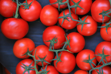 Red tomatoes close up on the market