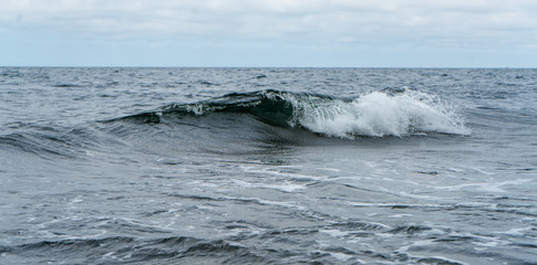 Single ocean wave