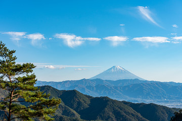 Mount Fuji, the World Heritage. Beautiful scenery view, pine forests in foreground, blue sky and white clouds in background. Shosenkyo observation station, Kofu City, Yamanashi Prefecture, Japan
