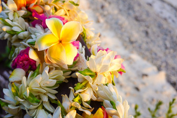 A lei of colorful tropical flowers with a white sandy beach for copy space - obrazy, fototapety, plakaty