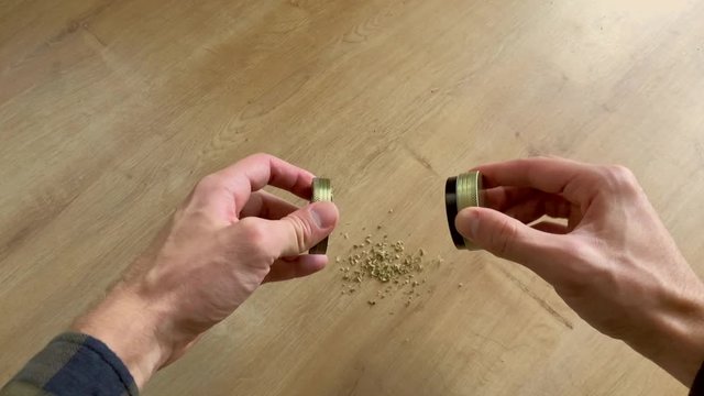 White male hands opening a grinder full of weed with paraphernalia on kitchen top down. Grinder full of legal medicinal marijuana for anxiety and medical use.