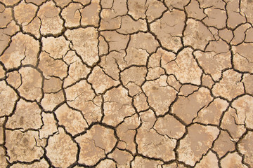 Soil crack