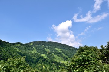 夏の湯沢高原 大峰山