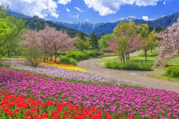 Tuinposter 長野県・安曇野市 春の国営アルプスあづみの公園の風景 © w.aoki