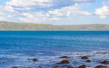 Near Teriberka, Murmansk, Russia. In the foreground, algae covered large round stones. In the background – ancient mountains. Large white clouds move smoothly over the azure blue of the Barents sea