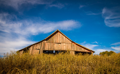 Obraz premium Abandon wooden barn in palouse