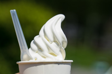 美山 　アイスクリーム　miyama  ice cream