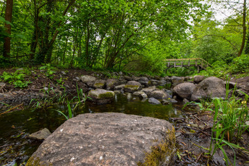 natural scenery with water