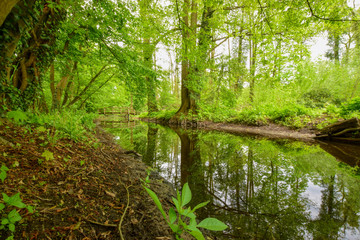 natural scenery with water