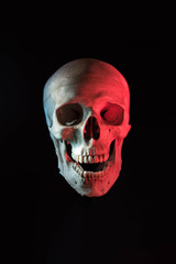 Human skull isolated in black