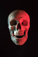 Human skull isolated in black
