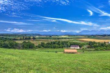 北海道・美瑛町 初夏の美瑛の丘の風景 © w.aoki